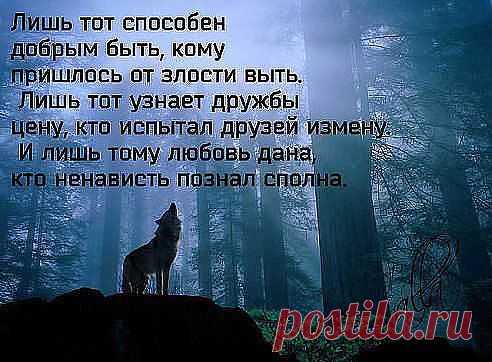 (3) Facebook