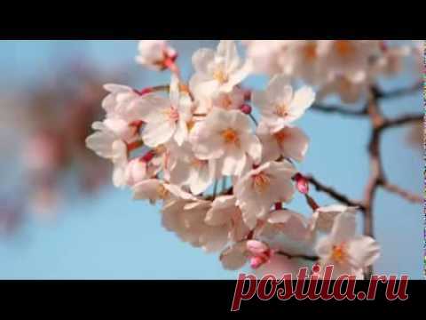 Притча-гороскоп