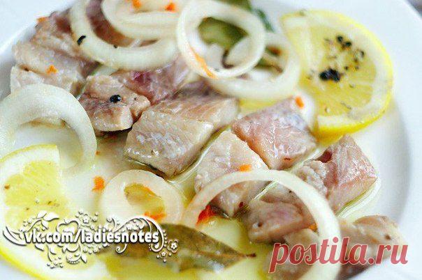 Селедка по-голландски | Женский журнал