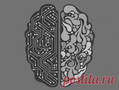 Прокачать за 66 дней. Как научить мозг новому и закрепить эти привычки навсегда. Екатеринбург - Деловой квартал