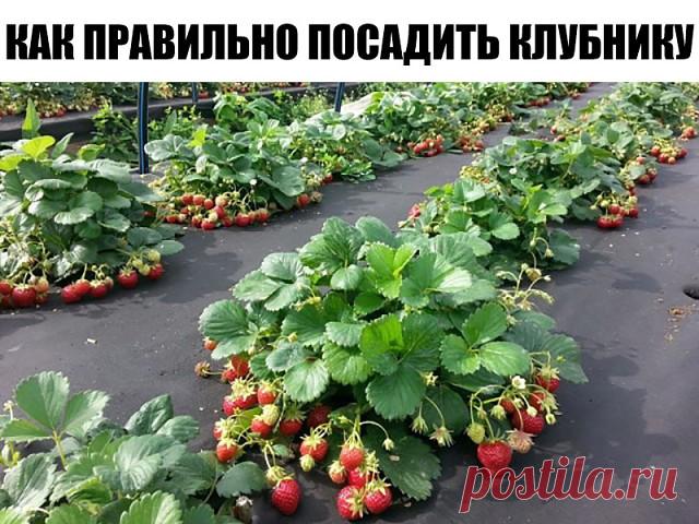 (73) Одноклассники
