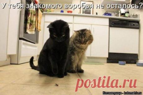 Жизнь прекрасна (31 фото)