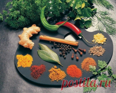 Путеводитель по специям