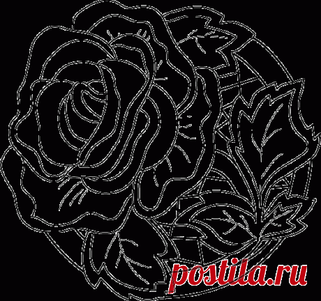 Без заголовка