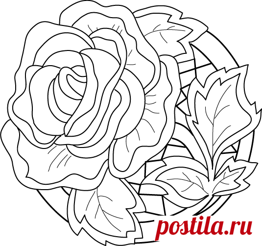 Без заголовка