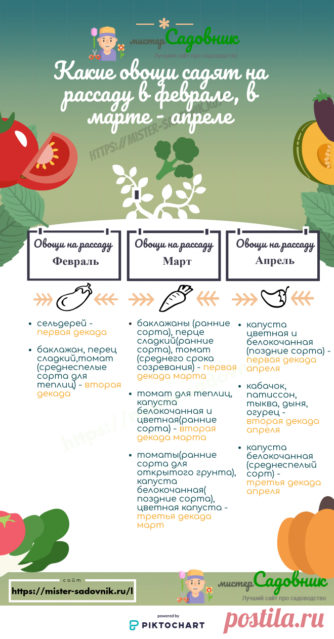 Сроки посева семян на рассаду и в грунт - таблица