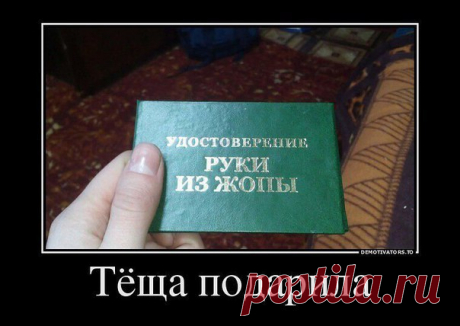 Елена Имаева
