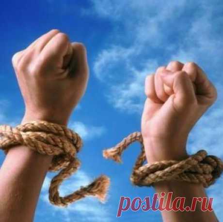 Один день регионального представителя