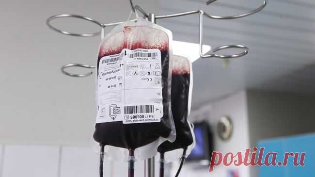 В Госдуме предложили включить в "Разговоры о важном" тему донорства