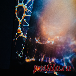 Joris Voorn - Rose | 4DJsonline.com