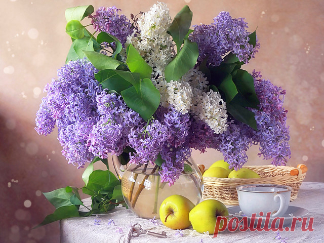 ༺🌸༻Люблю лимонное с лиловым!
Рондель XVI 
Игорь Северянин 
Люблю лимонное с лиловым: 
Сирень средь лютиков люблю. 
Лимон фиалками томлю. 
Пою луну весенним словом: 
Лиловым, лучезарным, новым! 
Луна - подобно кораблю... 
Люблю лиловое с лимонным: 
Люблю средь лютиков сирень. 
Мне так любовно быть влюблённым 
И в ночь, и в утро, в вечер, в день, 
И в полусвет, и в полутень, 
Быть вечно жизнью восхищённым, 
Любить лиловое с лимонным...
