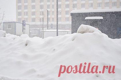 Пожаловавшуюся на кучу снега перед домом россиянку избили и оттаскали за волосы. Жительницу Североуральска Свердловской области избили и оттаскали за волосы из-за жалобы на неубранную кучу снега. Об этом стало известно региональному порталу Е1.ru. Как выяснило издание, в начале января россиянка опубликовала в соцсетях фото сугроба, который образовался перед ее домом.