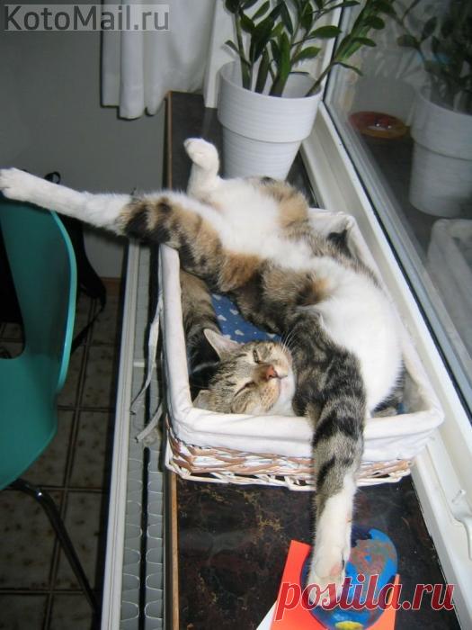 Отдых на всю катушку)