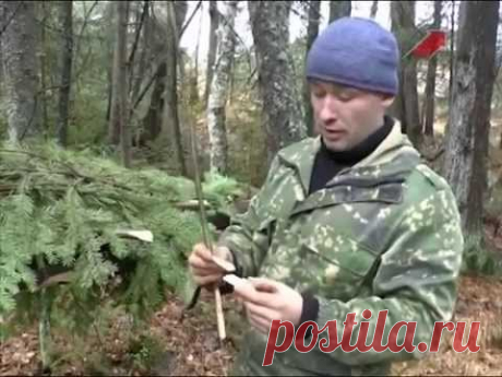 Охота на пушного зверя без оружия — Яндекс.Видео