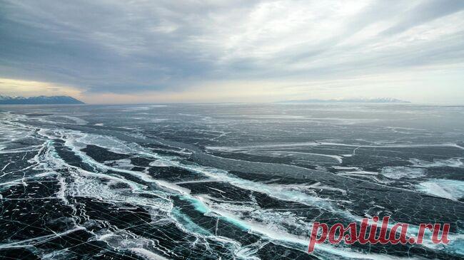 Госдума приняла закон о запрете сплошных рубок на Байкале