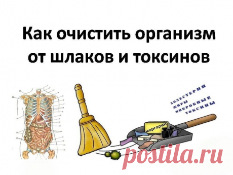 ЕЩЁ ОДНО ЭФФЕКТИВНОЕ СРЕДСТВО НАРОДНОЙ МЕДИЦИНЫ ОТ НЕДУГОВ

Недавно один китаец поделился со мной народным средством, которым пользовались в его семье много лет. Он утверждает, что это замечательное средство помогает чистить и восстанавливать организм. Оно прекрасно чистит сосуды, приводит в норму суставы и понижает уровень холестирина в крови. 

Недолго думая, я решила это зелье приготовить. Все ингредиенты у меня имелись кроме тары. Пришлось купить стеклянную банку на 1....
