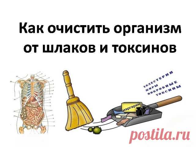 ЕЩЁ ОДНО ЭФФЕКТИВНОЕ СРЕДСТВО НАРОДНОЙ МЕДИЦИНЫ ОТ НЕДУГОВ

Недавно один китаец поделился со мной народным средством, которым пользовались в его семье много лет. Он утверждает, что это замечательное средство помогает чистить и восстанавливать организм. Оно прекрасно чистит сосуды, приводит в норму суставы и понижает уровень холестирина в крови. 

Недолго думая, я решила это зелье приготовить. Все ингредиенты у меня имелись кроме тары. Пришлось купить стеклянную банку на 1....