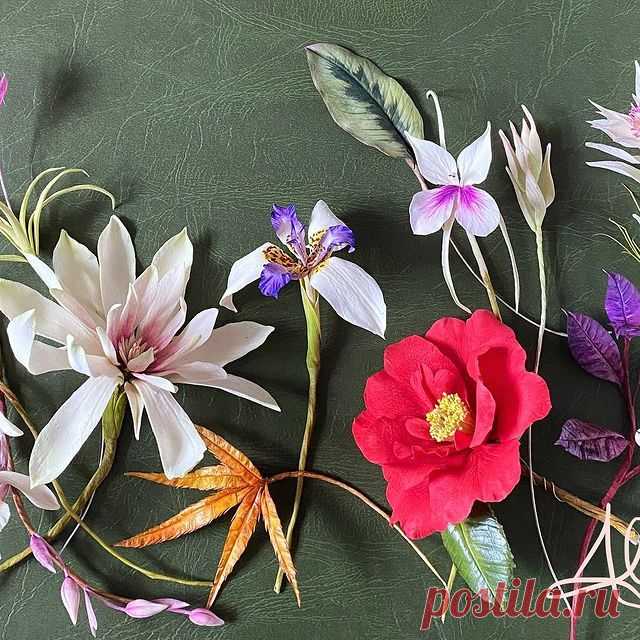My demonstration flowers from@this weeks 3-day Summer school. I’m looking forward to the next 3-day Classes starting on Monday - another exciting and varied programme of Flowers, Foliage and Berries. It been a blast making flowers with the students in line @apieceofcakeuk #authorsofinstagram #coldporcelainflowers #sugarflowers #sugarflowerclass