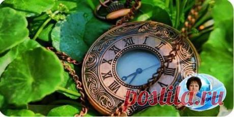 Технология Успеха в Интернет