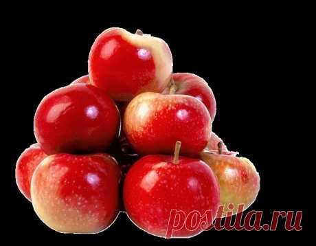 клипарт «дары природы