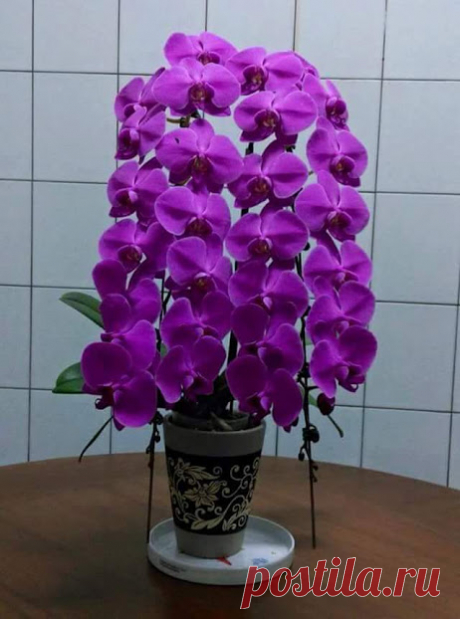Галина Андреева – Google+