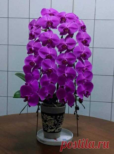Галина Андреева – Google+