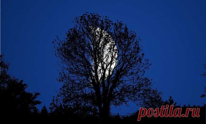 10 книг, которые научат вас нравственности

1.Виктор Гюго — 