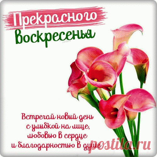 Воскресенье — самый лучший день в неделе. Пусть и в этот раз он будет самым удачным, самым замечательным днем.