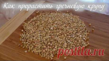 (16) Одноклассники    Как проращивать зеленую гречку: