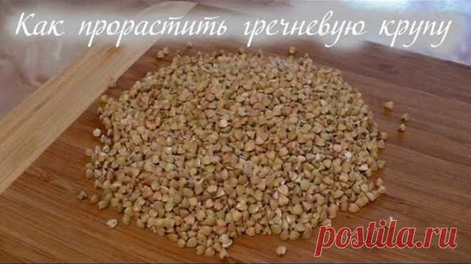 (16) Одноклассники    Как проращивать зеленую гречку: