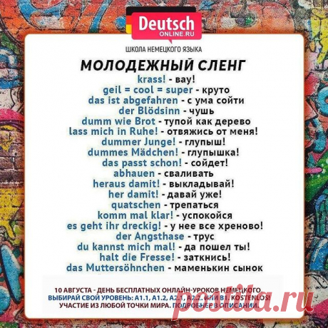 👩🏻‍🏫 10 августа - день БЕСПЛАТНЫХ ПРОБНЫХ онлайн-уроков для разных уровней: для начинающих и для продолжающих. Проверьте, подходит ли вам обучение в Deutsch Online!
⠀
🔹 Любите путешествовать и читать литературу в оригинале. Хотите знать несколько языков.
🔹 Хотите получить ПМЖ (Aufenthaltserlaubnis) в Германии.
🔹 Хотите найти новую работу, больше зарабатывать или вести переговоры на немецком.
🔹 Хотите поступить в немецкий ВУЗ, поехать по студенческому или школьному о...