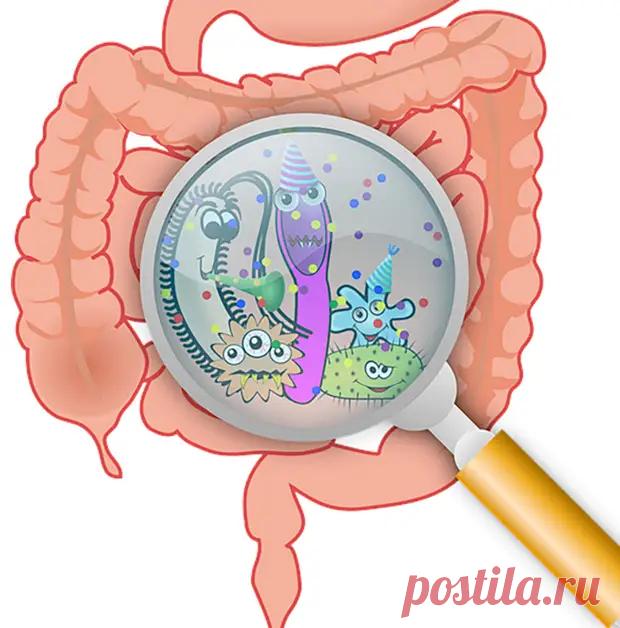 (46) Марва Оганян: лечебная чистка организма - ПолонСил.ру - социальная сеть здоровья - медиаплатформа МирТесен