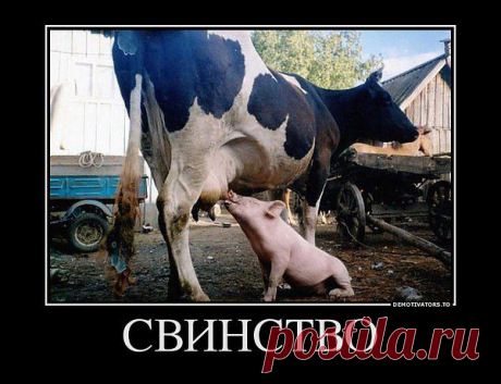 Интересно
