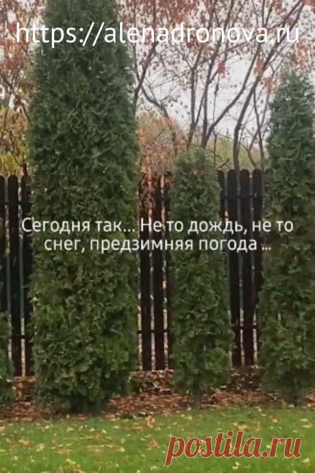 Осень