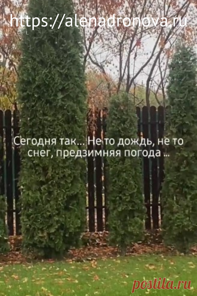 Осень