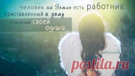 Мудрые, позитивные и короткие высказывания о жизни великих людей