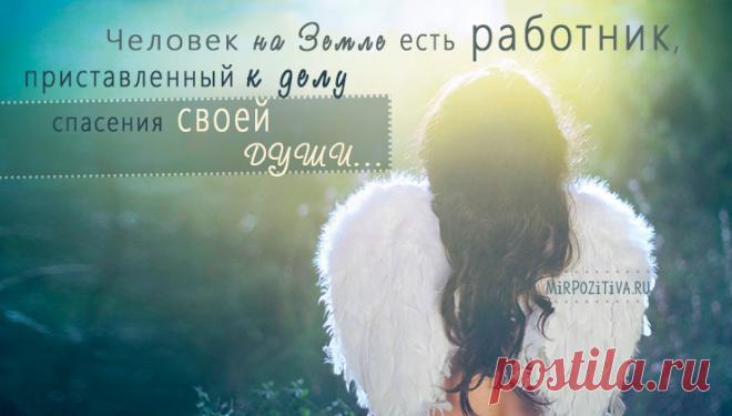 Мудрые, позитивные и короткие высказывания о жизни великих людей