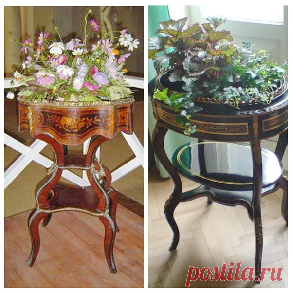 В моде опять жардиньерки! | Цветы в доме | Яндекс Дзен