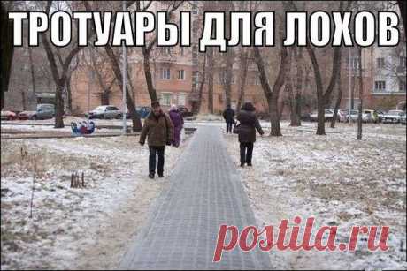 Смешные картинки с подписями / Приколы