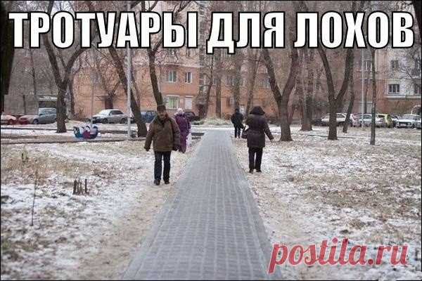 Смешные картинки с подписями / Приколы