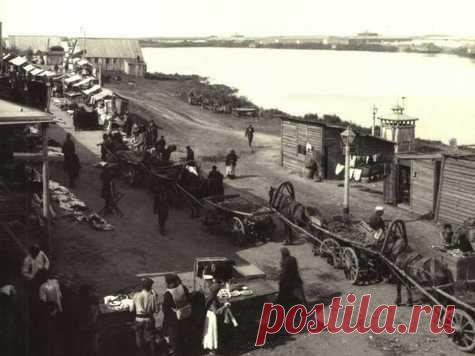 Грибной карман России | Советы грибника