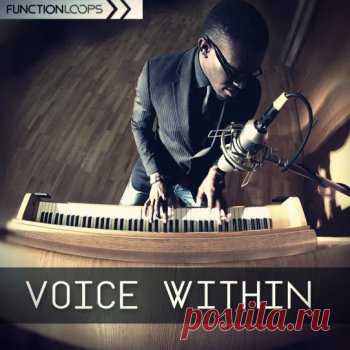 DownloadFunction Loops Voice Within download for free - DJ SOFT/ Samples -