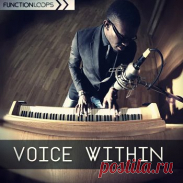 DownloadFunction Loops Voice Within download for free - DJ SOFT/ Samples -