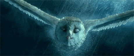 Тест: Какая ты птица из кино? | Сорен («Легенды ночных стражей»)