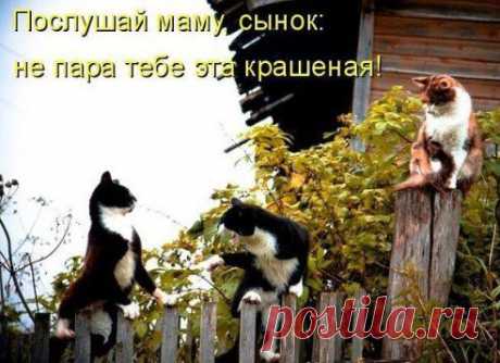 а вы были когда нибудь против второй половинки вашего чада???
20

да!еще как!.
11

нет.никогда.
36

мне все равно.лишь бы счастлив был!
3

другой ответ.