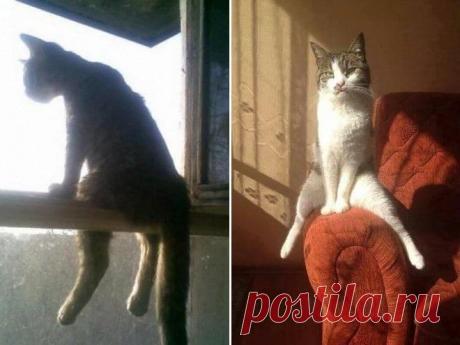 Излюбленные позы.