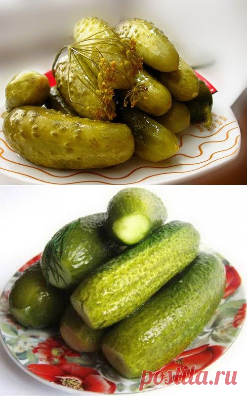 Засолка огурцов - рецепты с фото / Простые рецепты