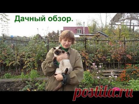 Дачный обзор. Дачные дела в октябре. - YouTube