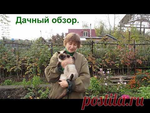 Дачный обзор. Дачные дела в октябре. - YouTube