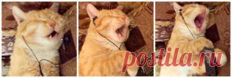 Отличный припев!!!